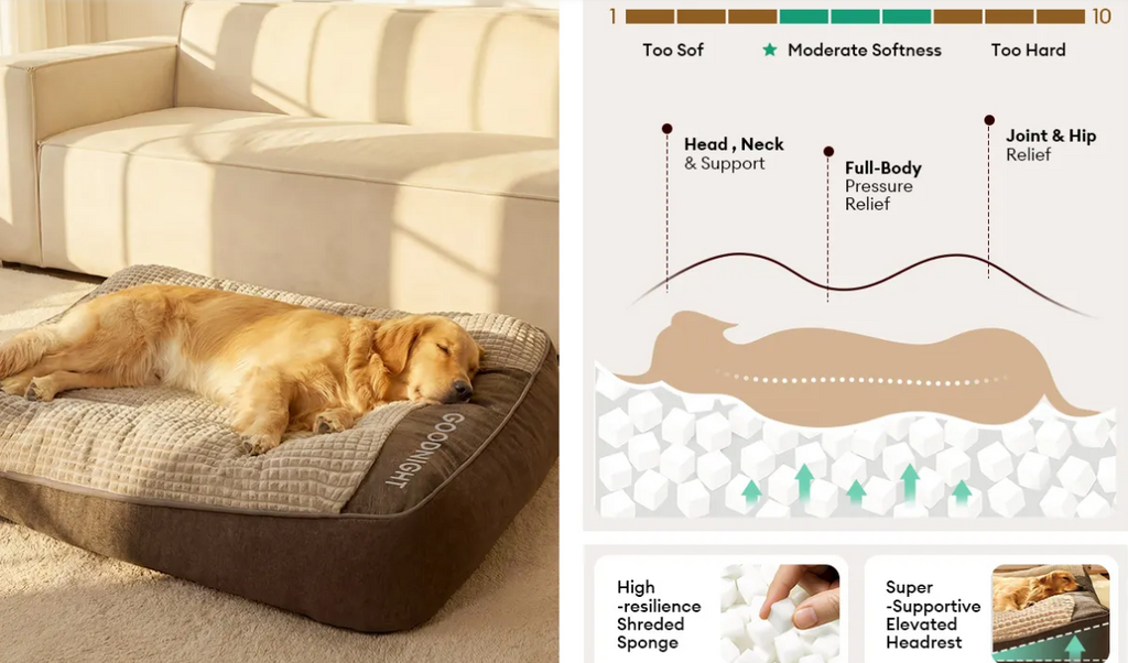 Large Thick Scratch-resistant Spine Protection Dog Cushion Bed