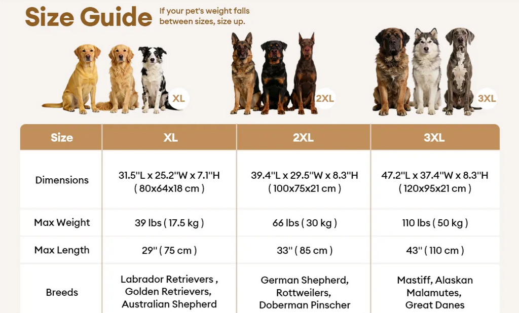 Large Thick Scratch-resistant Spine Protection Dog Cushion Bed